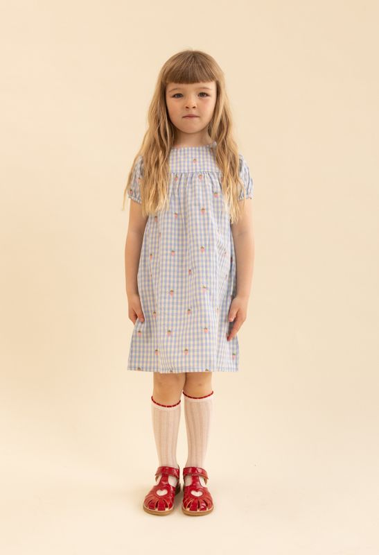 Floess Mille SS dress sky berry gingham